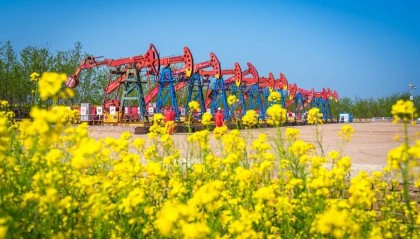 中国石油长庆油田采油十二厂走出绿色发展“三部曲”