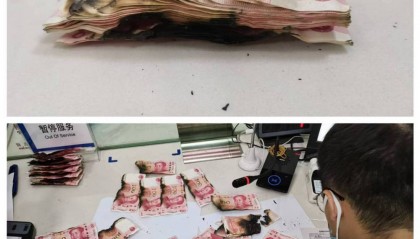 建行邹平支行：银行工作人员专业处理火烧币，细致服务赢得客户赞誉