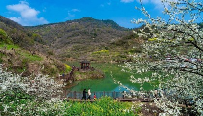 “一尺一寸”，众筹和美乡村