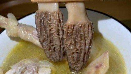 最新发布！黑松露如何购买？