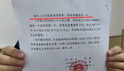 当庭宣判！重庆遛狗不牵绳冲突案：打人者获刑一年，受害人将再诉索赔