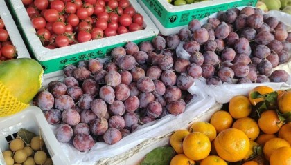 价格腰斩！徐州正大量上市！曾因“神奇功能”爆火......