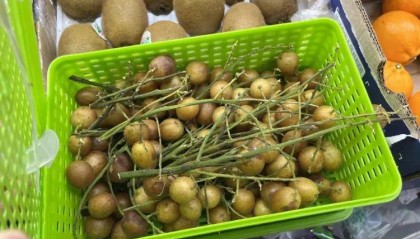 价格暴涨！这种水果火了，网友：第一次见