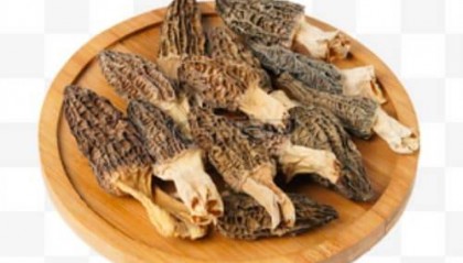 权威发布！松茸如何购买？