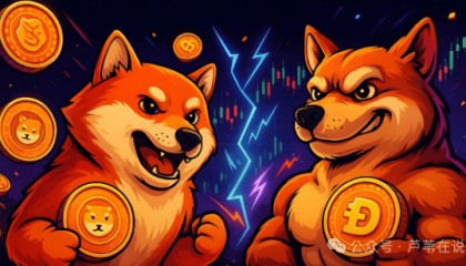9月暴涨还是崩盘？SHIB黄金交叉、BTC双顶、DOGE巨鲸提币！接下来如何布局？