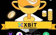 数字货币杠杆交易所风控XBIT力挽狂澜能力遭疑