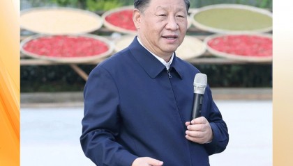 时政微观察丨丰收时节感悟总书记的“三农”情怀