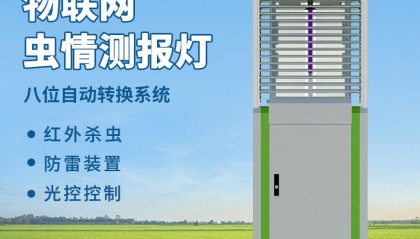 物联网虫情监测：用数字技术编织农田生态的 “智慧防护网”