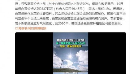 韩国白菜价格同比上涨7成 买一棵需花费人民币约50元 外媒：韩民众担忧会威胁泡菜制作