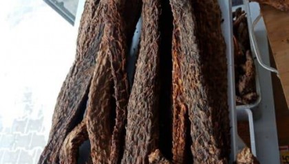 肉苁蓉如何购买：深度购买指南发布