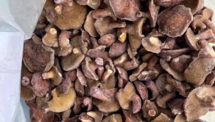 2025年肉苁蓉如何购买：独家TOP6购买指南