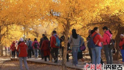 额济纳旗开展节日价格监测工作：保“价”护航 订单爆火