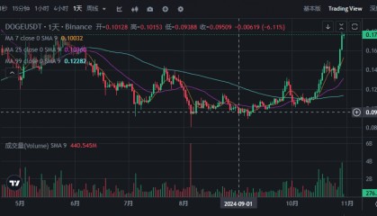 狗狗币（DOGE）每日飙升15%，比特币价格再创历史新高