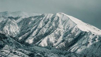怎么在文华财经查看股指期货行情？
