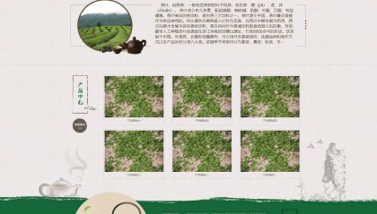 茶叶品牌网站应该怎样开发比较好呢？