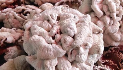 权威发布！颐元本纪如何购买？