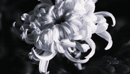 关呈远（副部长级）逝世