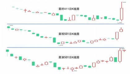 菜籽系期货价格强势拉升