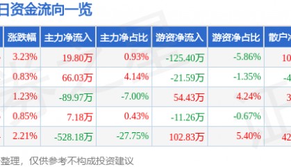 上海亚虹（603159）4月23日主力资金净买入19.80万元