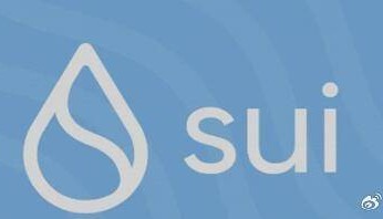 SUI在虚拟货币浪潮中如何生存？SUI是如何成为投资者们的关注点的？