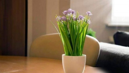 时间是是唯一的流通货币