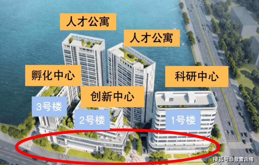 最新！金沙洲 全部公寓资料，最新价格，快收藏！