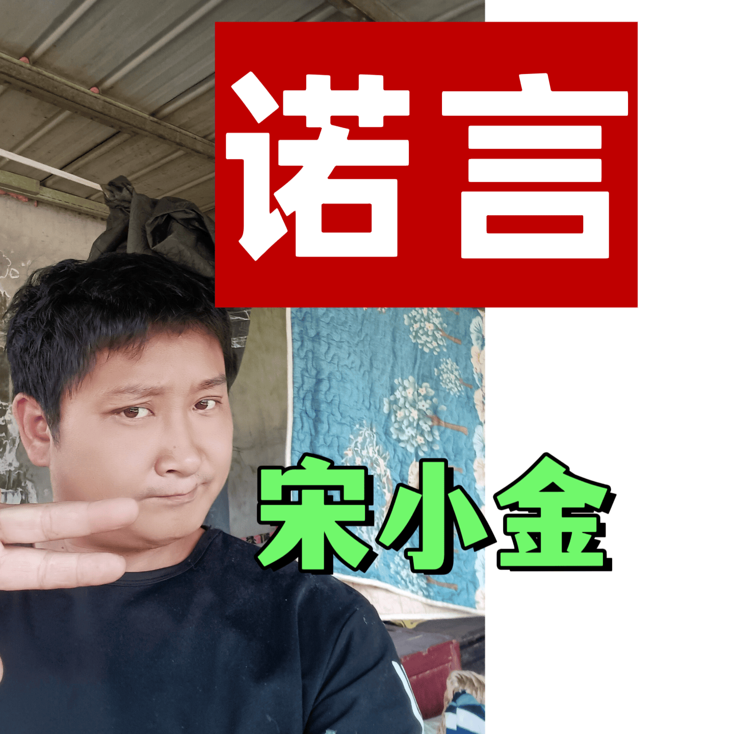 诺言宋小金MP3哪里可以听可以下载