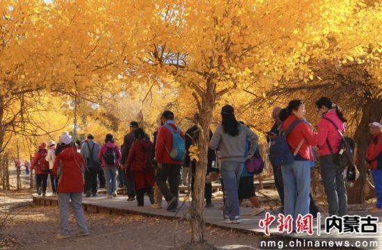 额济纳旗开展节日价格监测工作：保“价”护航 订单爆火
