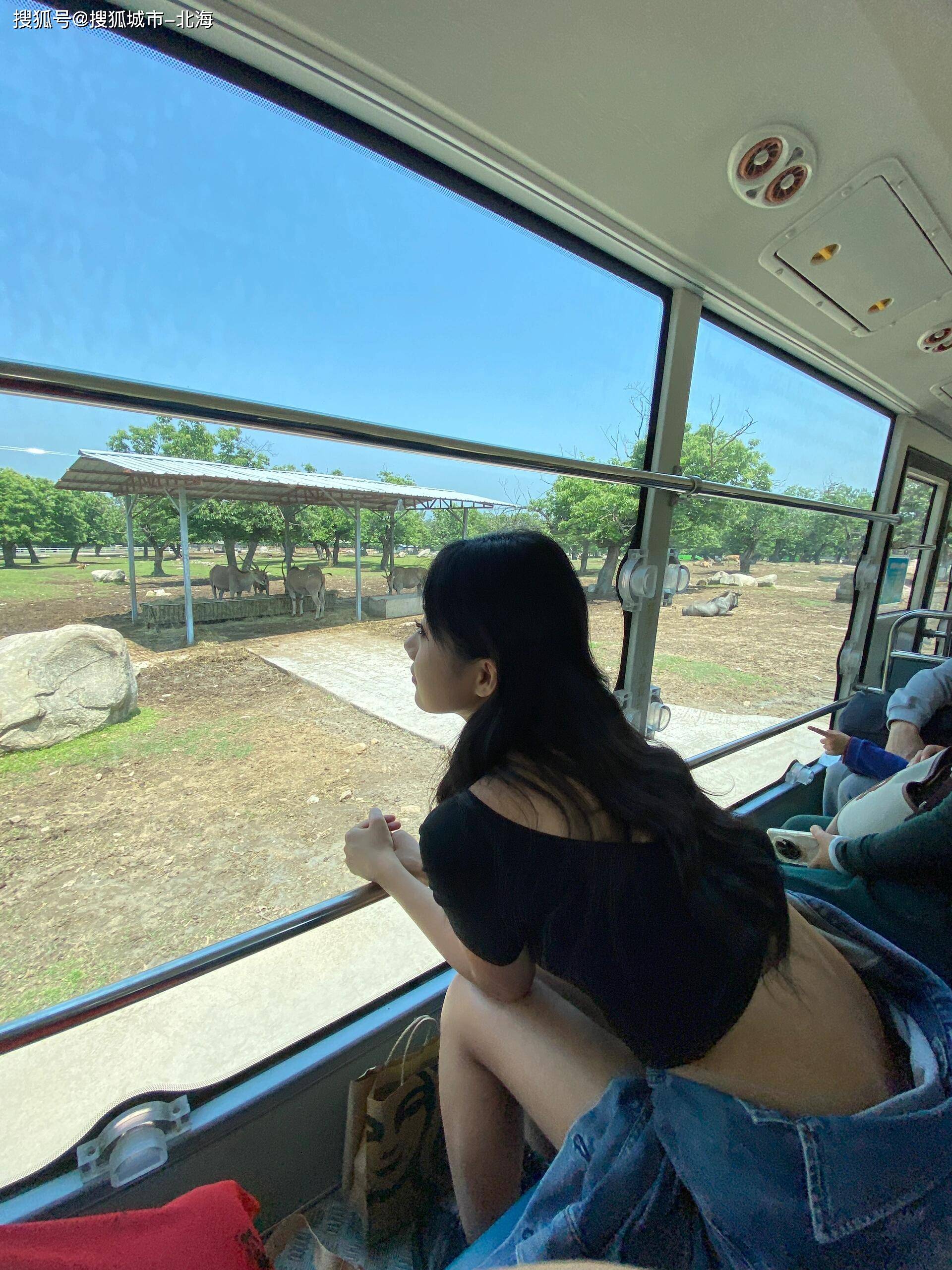 达人攻略报团去西安旅游6天大概多少人民币？达人攻略西安旅游六日游跟团价格