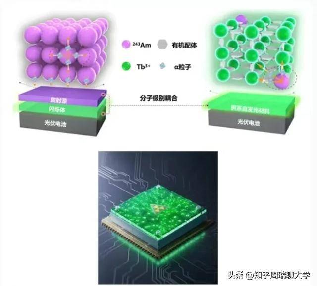 2024“中国科学十大进展”校友排名：南大兰大2人，川大1人上榜！