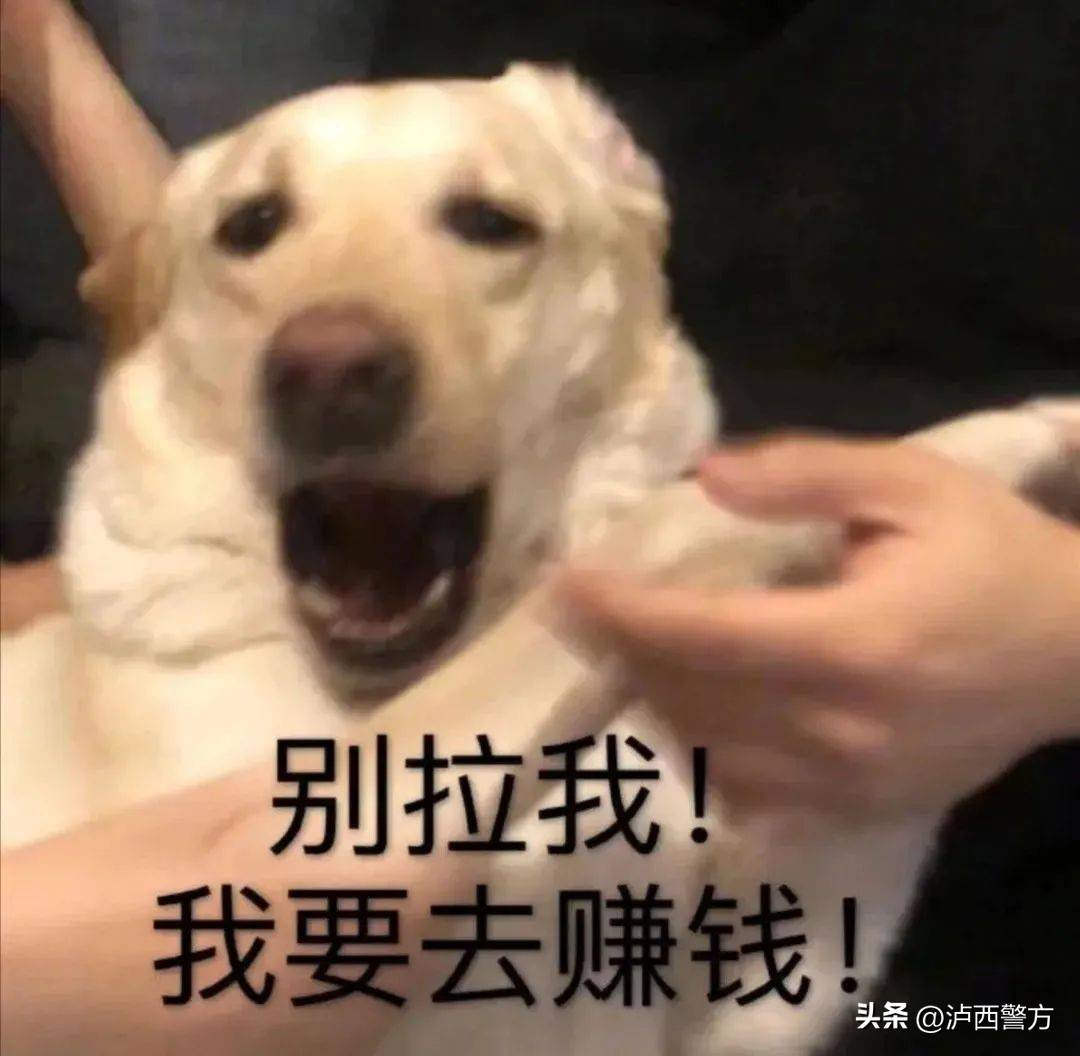 虚拟货币投资，能否造就财富传奇？谨防倾家荡产！