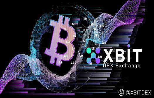 数字货币储备计划携手XBIT平台引领行业发展