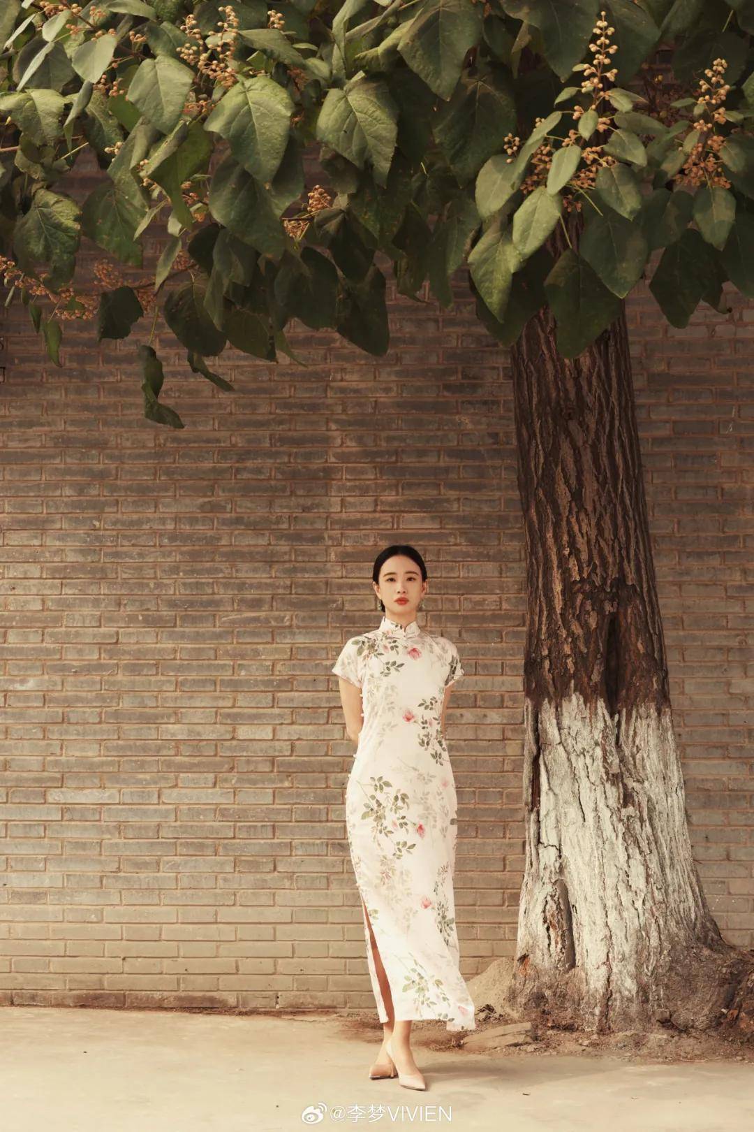 娇嫩的杨幂、干练的秦海璐、优雅的叶童——平遥国际电影展星光回顾