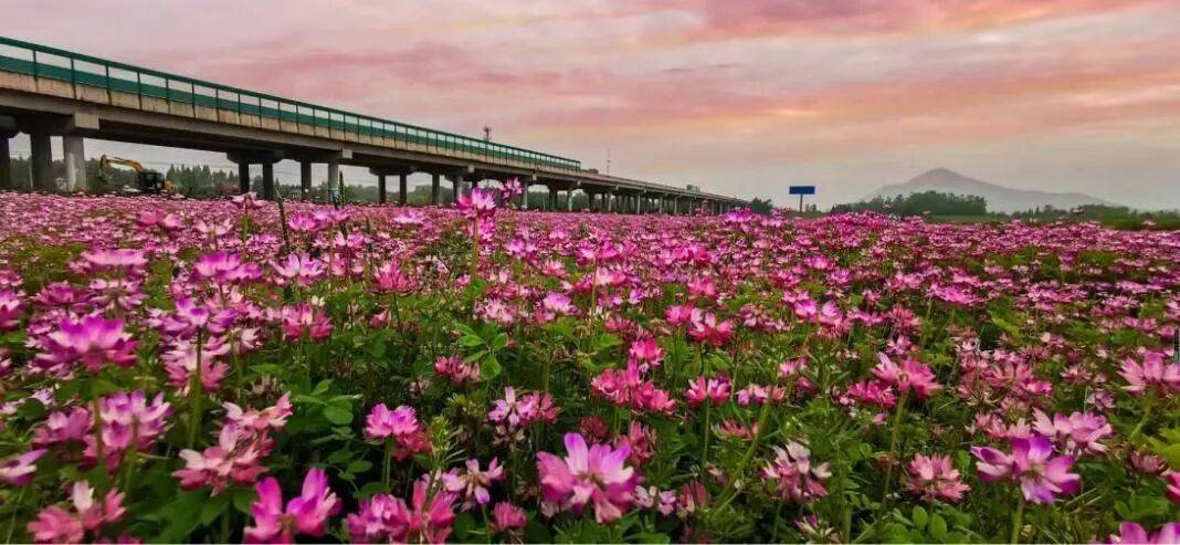 小县城,潜力可以有多大?