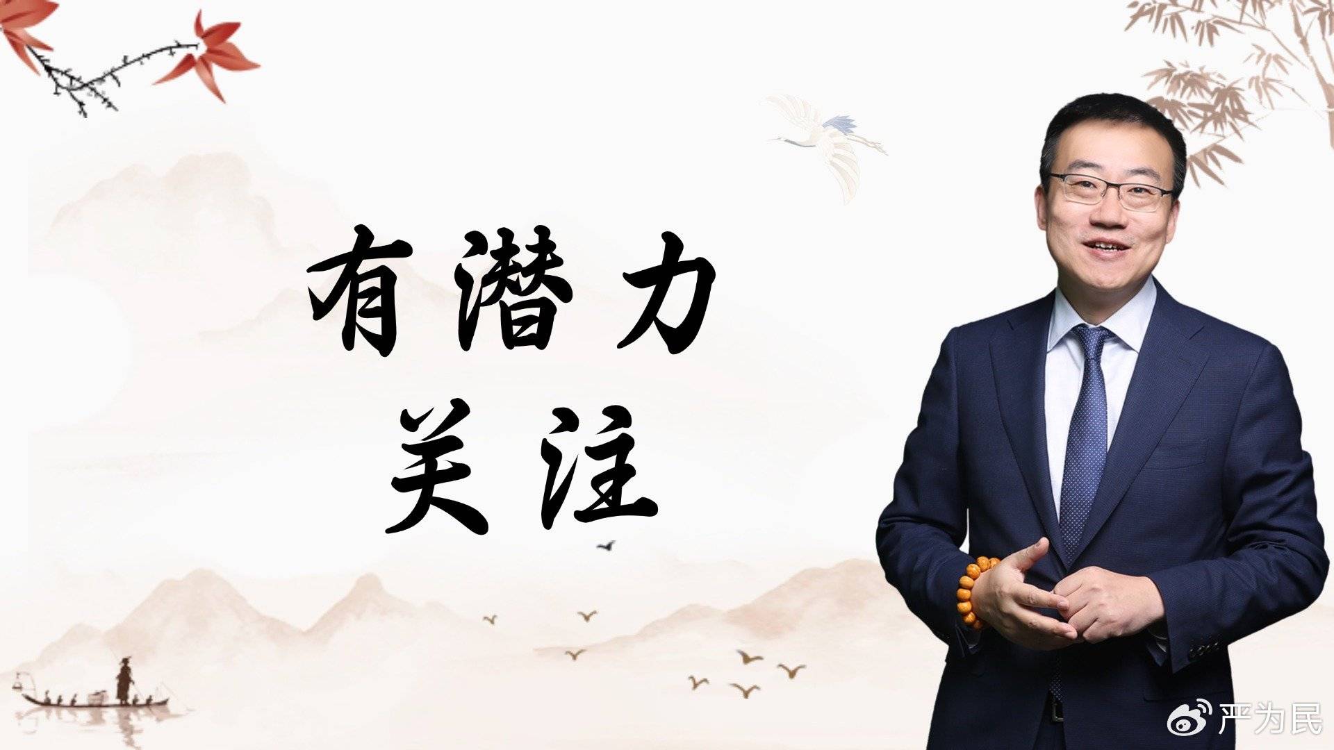 严为民：有潜力！关注！