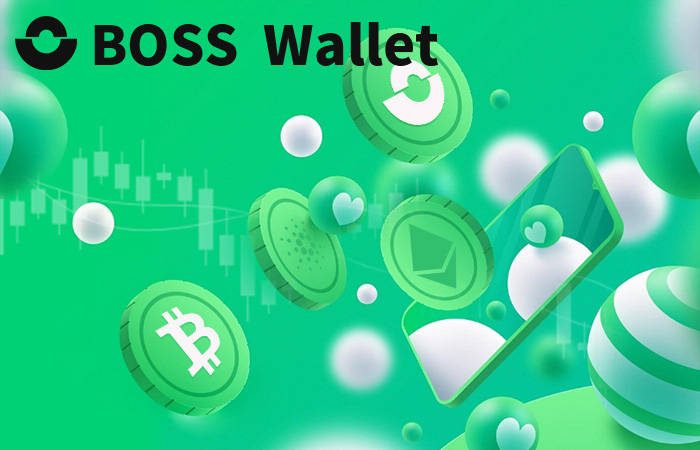 热门币种行情分化加剧，BOSS Wallet以冷钱包技术守护数字资产安全