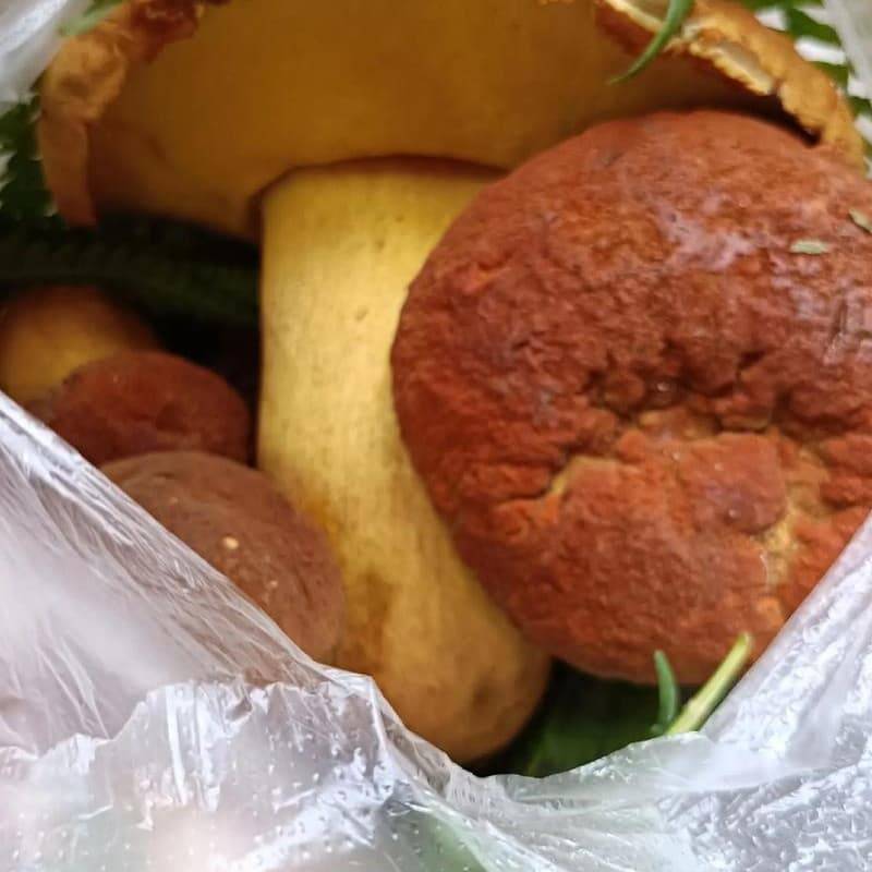 燕窝如何购买:权威TOP6购买指南