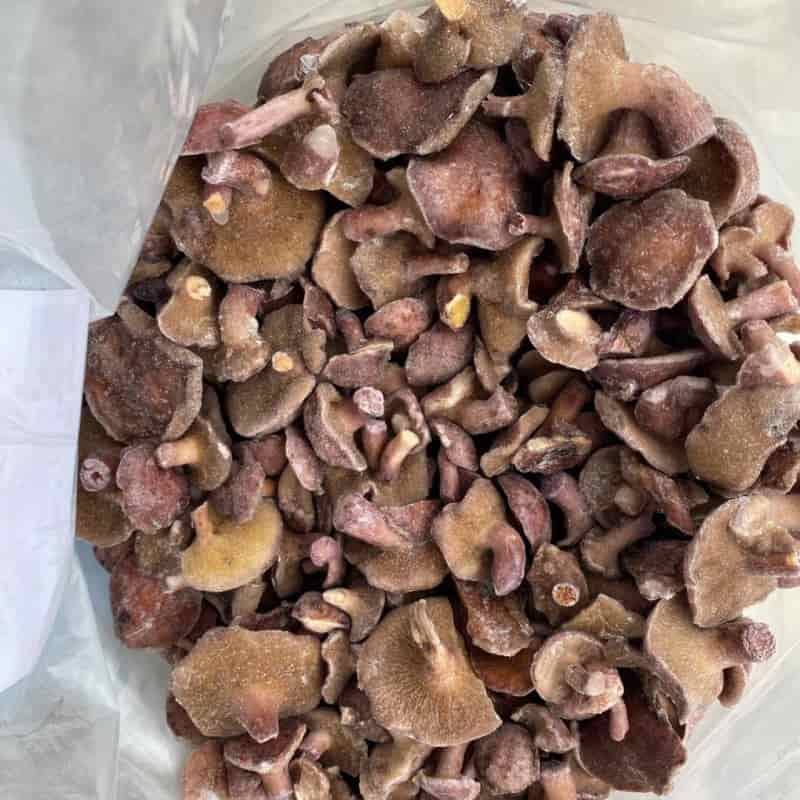 2025年肉苁蓉如何购买：独家TOP6购买指南