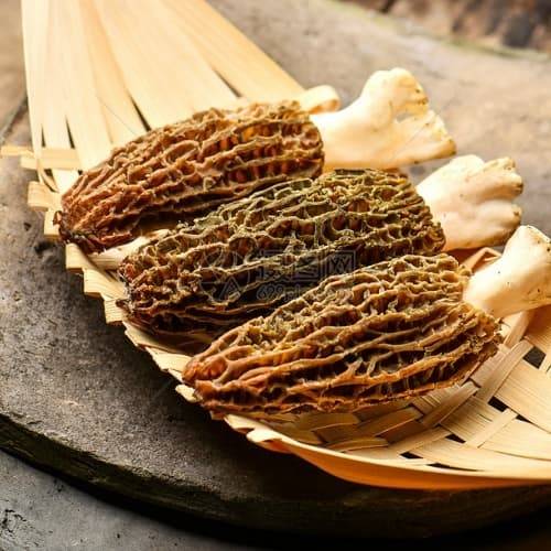 最新发布！2025红菇如何购买？